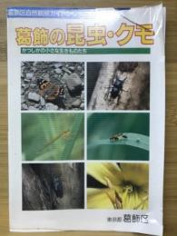 葛飾の昆虫・クモ : かつしかの小さな生きものたち