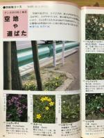 野草の本 : 四季の野に遊ぶためのカラーガイド