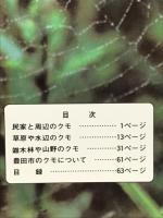 豊田のクモ