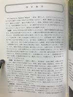 水田の多年生雑草