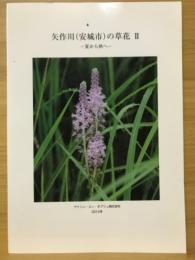 矢作川(安城市)の草花Ⅱ 夏から秋へ