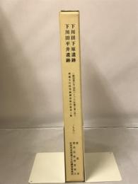 下川田下原遺跡・下川田平井遺跡 : 一般国道17号(沼田バイパス)改築工事に伴う埋蔵文化財発掘調査報告書第1集