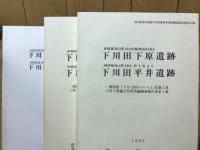 下川田下原遺跡・下川田平井遺跡 : 一般国道17号(沼田バイパス)改築工事に伴う埋蔵文化財発掘調査報告書第1集