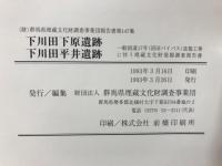 下川田下原遺跡・下川田平井遺跡 : 一般国道17号(沼田バイパス)改築工事に伴う埋蔵文化財発掘調査報告書第1集