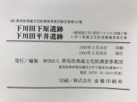 下川田下原遺跡・下川田平井遺跡 : 一般国道17号(沼田バイパス)改築工事に伴う埋蔵文化財発掘調査報告書第1集
