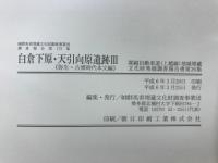 白倉下原・天引向原遺跡