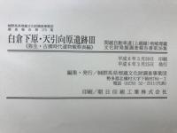 白倉下原・天引向原遺跡