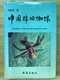 (中文)中国棉蜘蛛