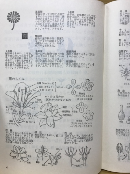 牧野富太郎　学生版日本植物図鑑