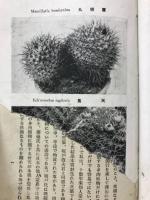 仙人掌の種類と栽培