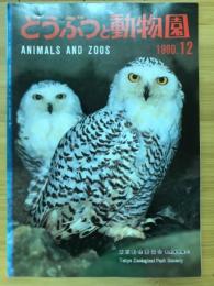 どうぶつと動物園　1980年12月号