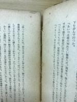 浮かれ女盛衰記 : 人間喜劇撰