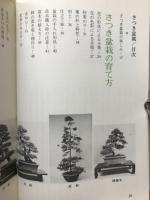 さつき盆栽