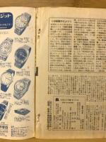丸　エキストラ版　欧州戦秘録