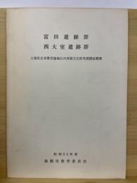 富田遺跡群・西大室遺跡群 : 土地改良事業実施地区内埋蔵文化財発掘調査概報