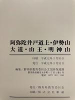 阿弥陀井戸道上・伊勢山・大道・山王・明神山 : 昭和63年度荒砥北部遺跡群発掘調査報告