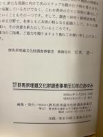群馬県埋蔵文化財調査事業団10年のあゆみ