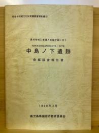 中島ノ下遺跡 : 農村地域工業導入実施計画に伴う 発掘調査報告書