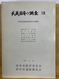 武蔵国府の調査　13　国府関連遺跡調査昭和56年度概報１