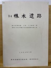 B4株木遺跡 : 都市計画街路小林-立石線第I期事業に係る埋蔵文化財発掘調査報告書