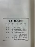 B4株木遺跡 : 都市計画街路小林-立石線第I期事業に係る埋蔵文化財発掘調査報告書
