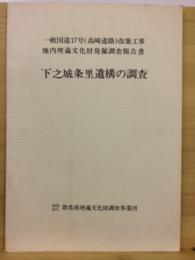 下之城条里遺構の調査 : 一般国道17号(高崎道路)改築工事地内埋蔵文化財発掘調査報告書