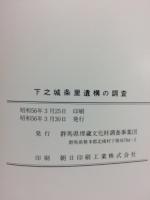下之城条里遺構の調査 : 一般国道17号(高崎道路)改築工事地内埋蔵文化財発掘調査報告書