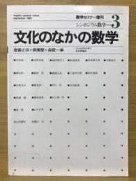 文化のなかの数学