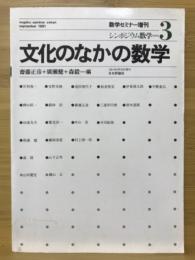 文化のなかの数学