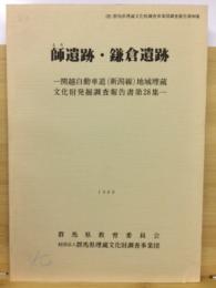 関越自動車道(新潟線)地域埋蔵文化財発掘調査報告書