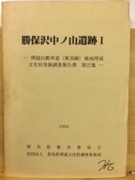 関越自動車道(新潟線)地域埋蔵文化財発掘調査報告書