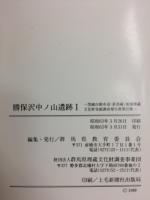 関越自動車道(新潟線)地域埋蔵文化財発掘調査報告書