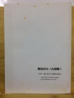 関越自動車道(新潟線)地域埋蔵文化財発掘調査報告書