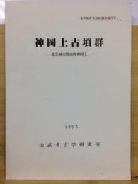 神岡上古墳群