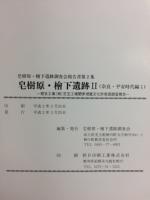 皂樹原・檜下遺跡　Ⅱ　朝日工業株式会社児玉工場関係埋蔵文化財発掘調査報告