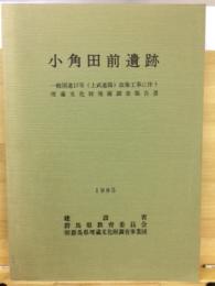 小角田前遺跡 : 一般国道17号(上武道路)改築工事に伴う埋蔵文化財発掘調査報告書