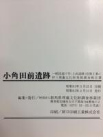 小角田前遺跡 : 一般国道17号(上武道路)改築工事に伴う埋蔵文化財発掘調査報告書