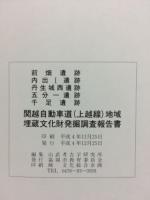 前畑遺跡・内出Ⅰ遺跡・丹生城西遺跡・五分一遺跡・千足遺跡 : 関越自動車道(上越線)地域埋蔵文化財発掘調査報告書