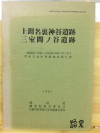 上淵名裏神谷遺跡・三室間ノ谷遺跡 : 一般国道17号線(上武道路)改築工事に伴う埋蔵文化財発掘調査報告書