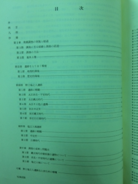関越自動車道(上越線)地域埋蔵文化財発掘調査報告書(群馬県埋蔵