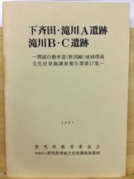 関越自動車道(新潟線)地域埋蔵文化財発掘調査報告書