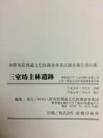 三室坊主林遺跡 : 一般国道17号(上武道路)改築工事に伴う埋蔵文化財発掘調査報告書