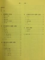 飯土井中央遺跡 : 一般国道17号(上武道路)改築工事に伴う埋蔵文化財発掘調査報告書