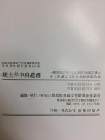 飯土井中央遺跡 : 一般国道17号(上武道路)改築工事に伴う埋蔵文化財発掘調査報告書