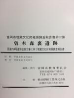 曽木森裏遺跡 : 国道254号道路改良工事に伴う埋蔵文化財発掘調査報告書