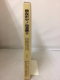 関越自動車道(新潟線)地域埋蔵文化財発掘調査報告書