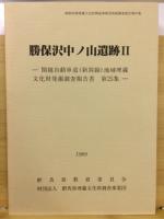関越自動車道(新潟線)地域埋蔵文化財発掘調査報告書