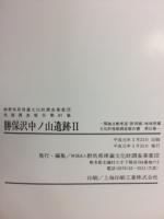 関越自動車道(新潟線)地域埋蔵文化財発掘調査報告書