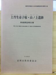 上丹生市子塚・山ノ上遺跡発掘調査報告書 : 市営上丹生八幡地区土地改良事業に伴う埋蔵文化財発掘調査報告書