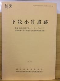 下牧小竹遺跡 : 関越自動車道下牧パーキングエリア拡張地域に係る埋蔵文化財発掘調査報告書